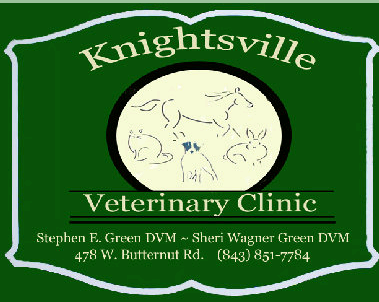 Images Knightsville Veterinary Clinic