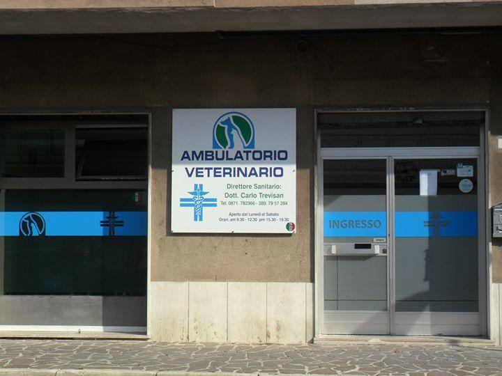Images Ambulatorio Veterinario Trevisan dott. Carlo