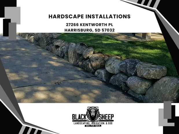 Images Black Sheep Landscape