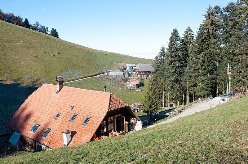 Bilder Waldrand Beizli