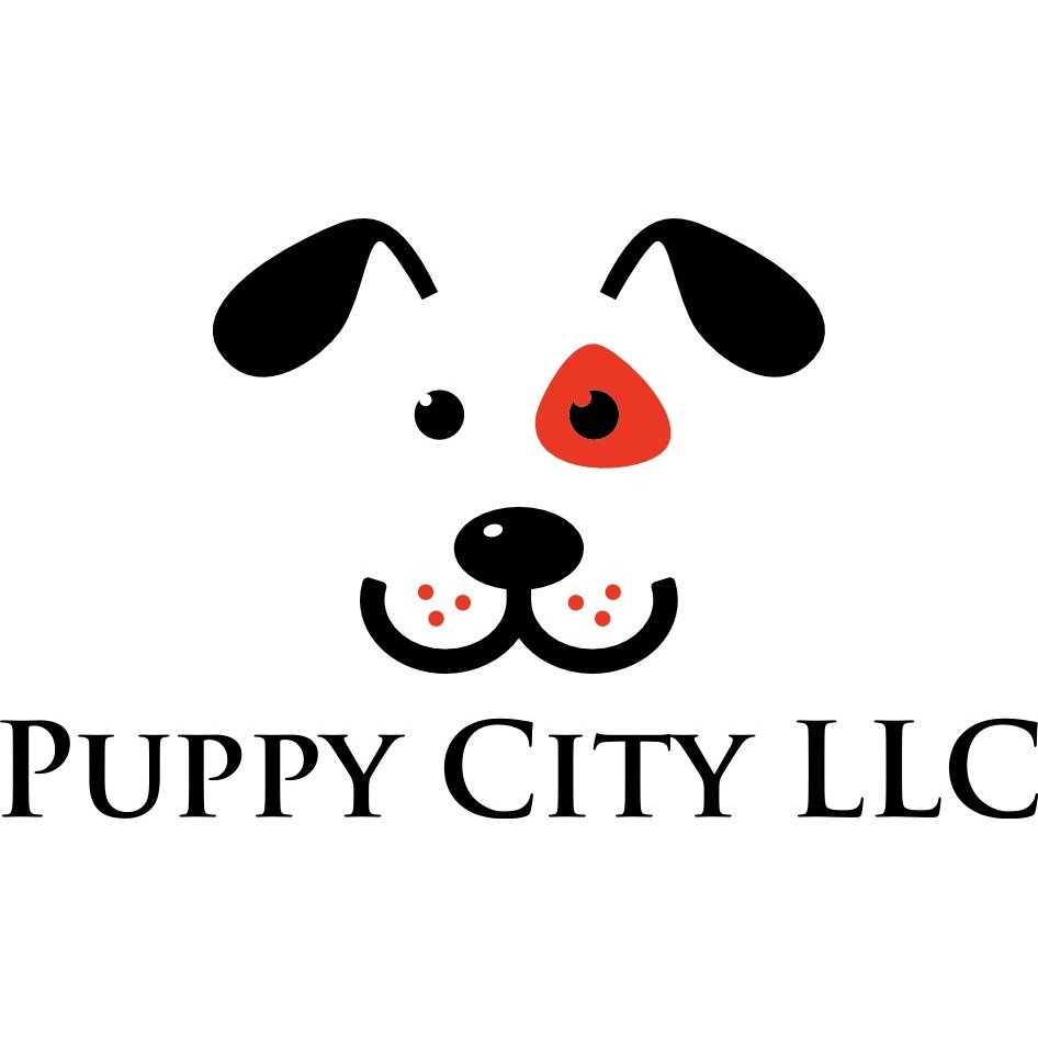 Puppy City Winchester Va Reviews