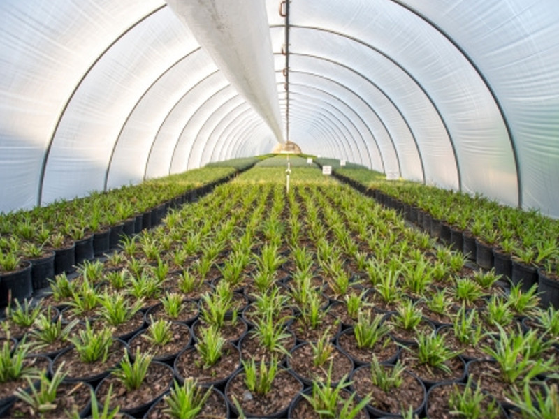 Images agri.com.