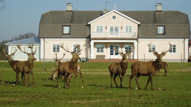 Images Ingelstorps Gård