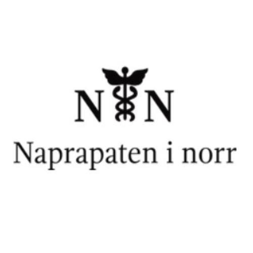 Naprapaten i Norr Logo