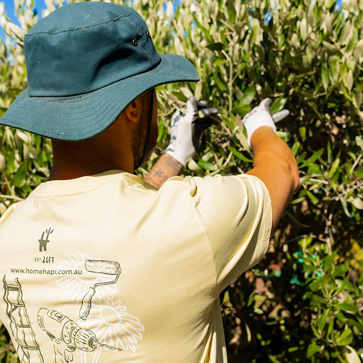 Images Homehapi Pty Ltd - Gardening & House Maintenance