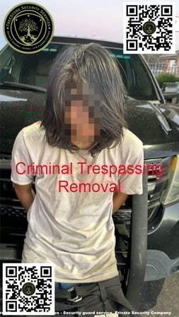 Images TreeStone Security Services