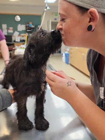 Images VCA Old Trail Animal Hospital