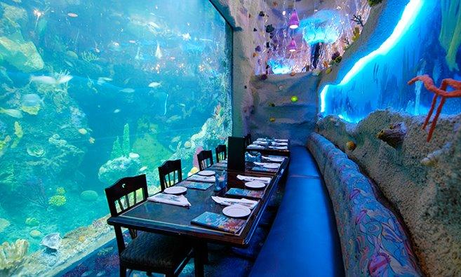 Images Aquarium Restaurant