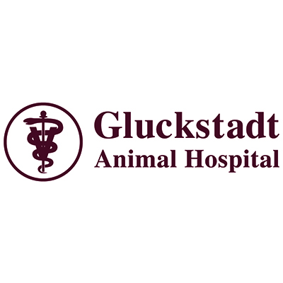 Gluckstadt Animal Hospital