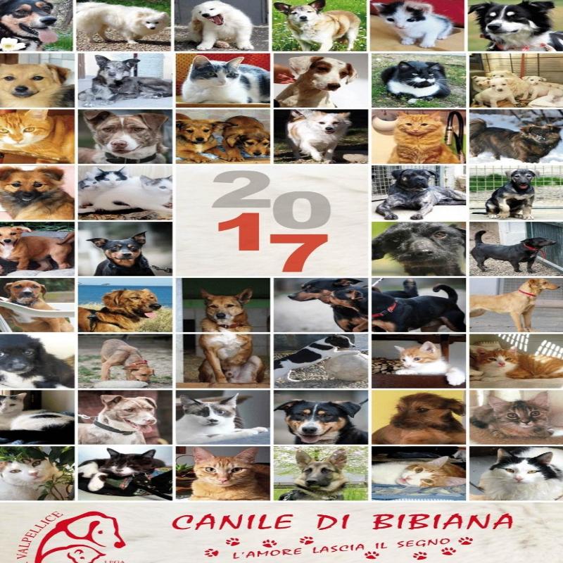 Images Canile di Bibiana - Lega Nazionale per La Difesa del Cane