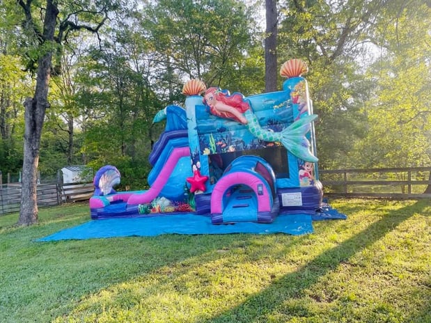 Images Imagination Jump and Party Rentals
