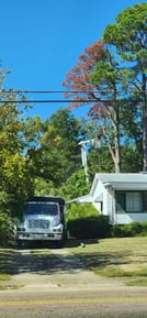 Images Broken Branch Tree Service LLC