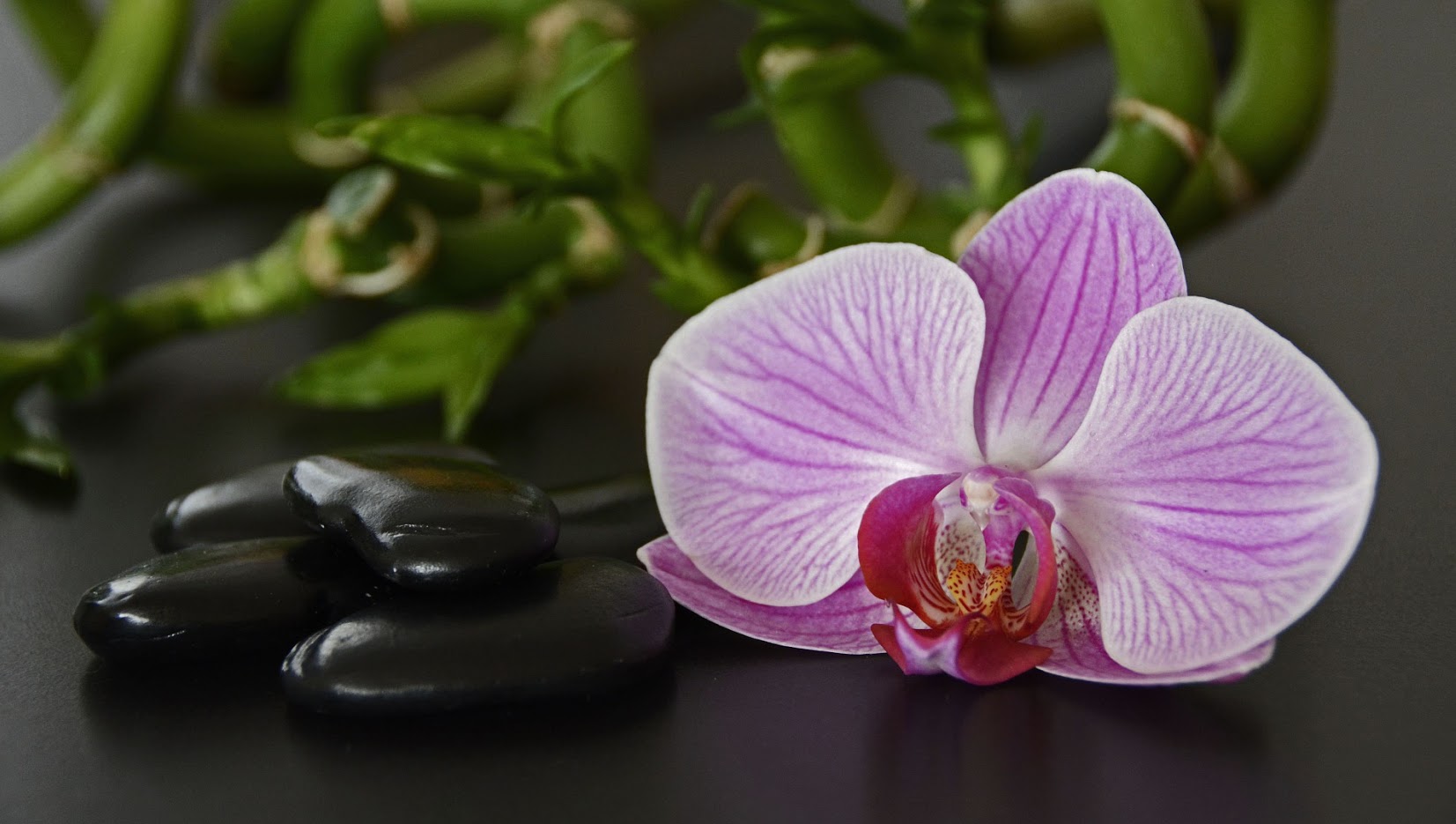 Beauty Lounge Hübscher, Friedrich-Engels-Allee 327 in Wuppertal