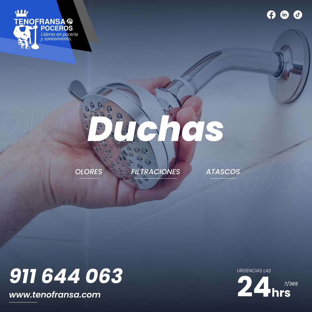 Images Tenofransa Poceros