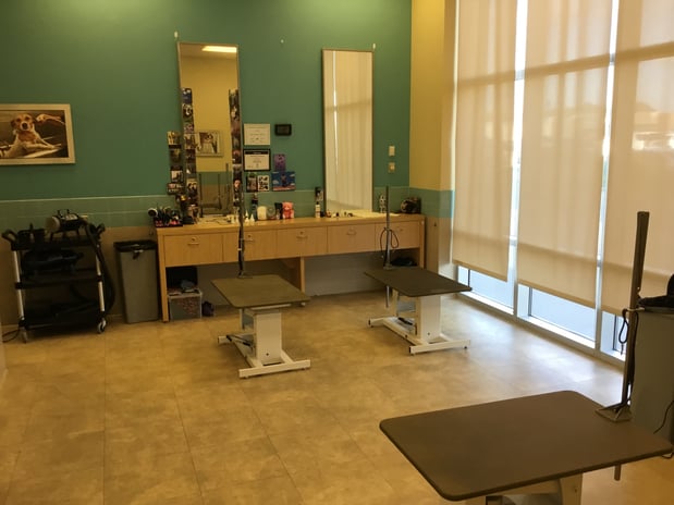 Images Petco Grooming