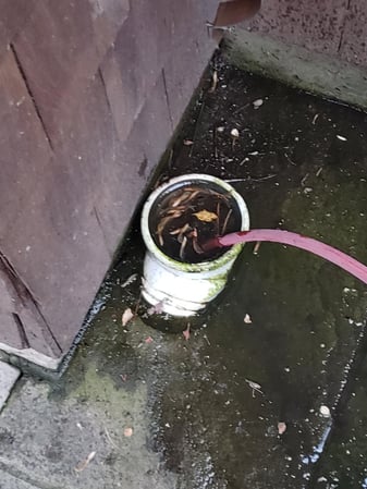 Images Knight Rooter Sewer & Drain Cleaning Services