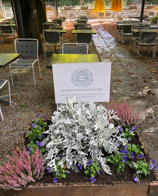 Bilder Tschan Gartenbau & Gartenunterhalt GmbH