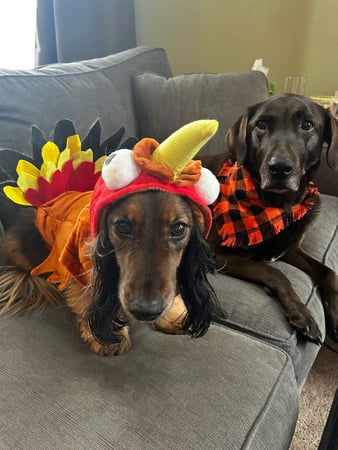 Images Erin LeVan - State Farm Insurance Agent