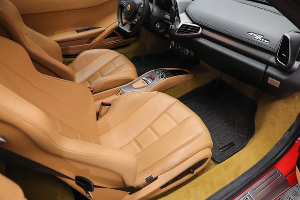 Images Loudoun County Exotics