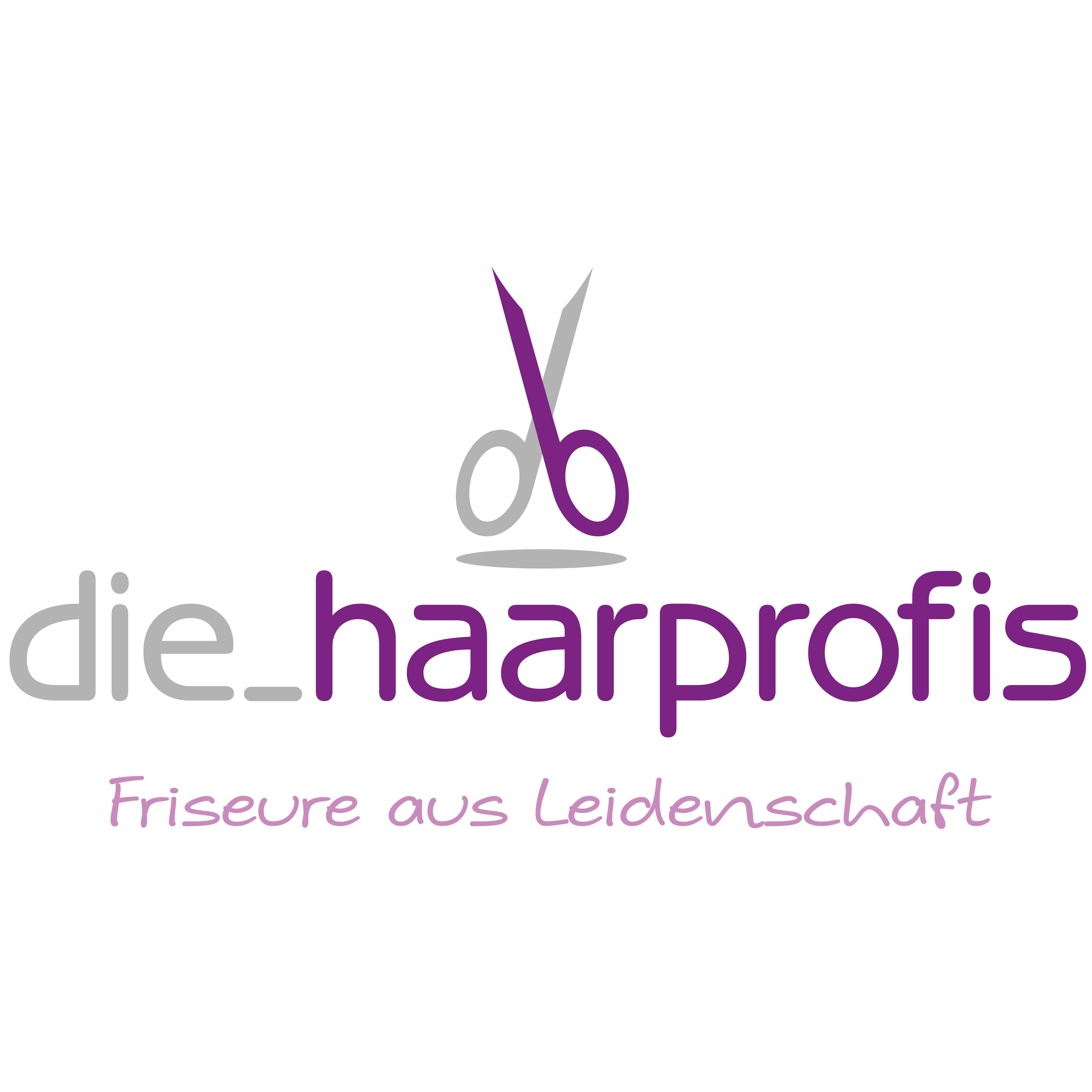 Logo die_haarprofis Inh. Wencke Franck