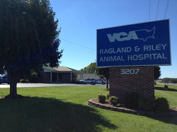 Images VCA Ragland & Riley Animal Hospital