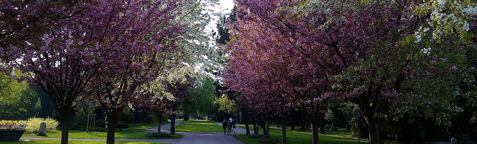 Friedhofsgärtnerei Halkier, Inh. Michael Halkier, Neue Siedlung 2 in Magdeburg