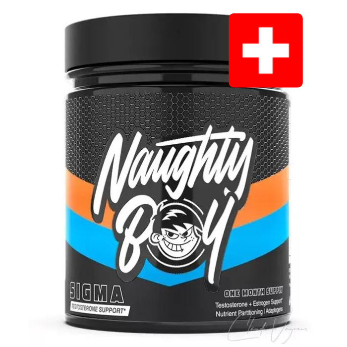 NAUGHTY BOY SIGMA | T-Booster