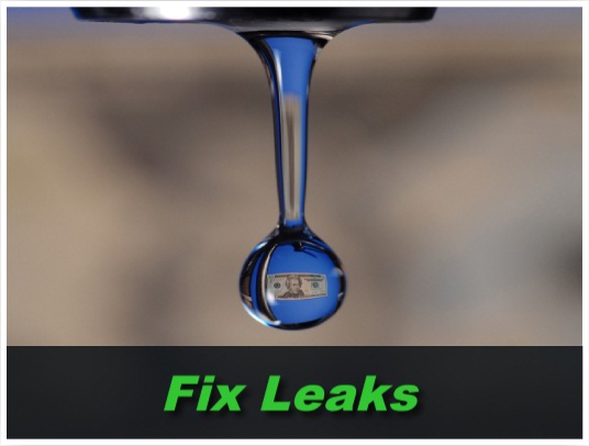 Fix Leaks