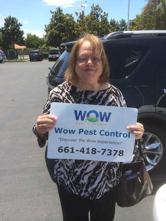 Images Wow Pest Control Inc.