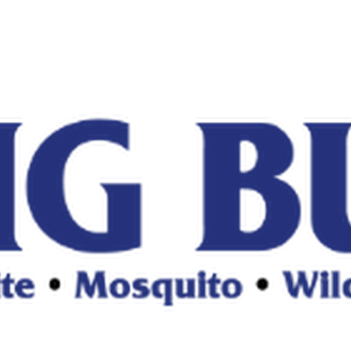 Bug Busters, Inc.