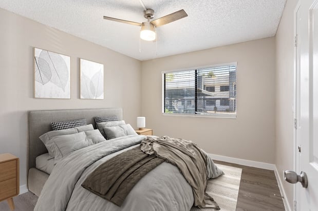 Images Rise at Estrella Park