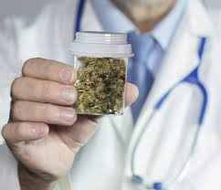 MedCo "The Medical Cannabis Co-Op"