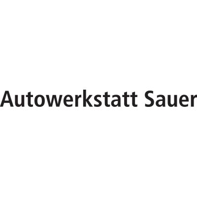Autowerkstatt Sauer in Aschaffenburg - Logo