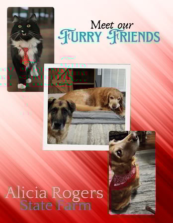 Images Alicia Rogers - State Farm Insurance Agent