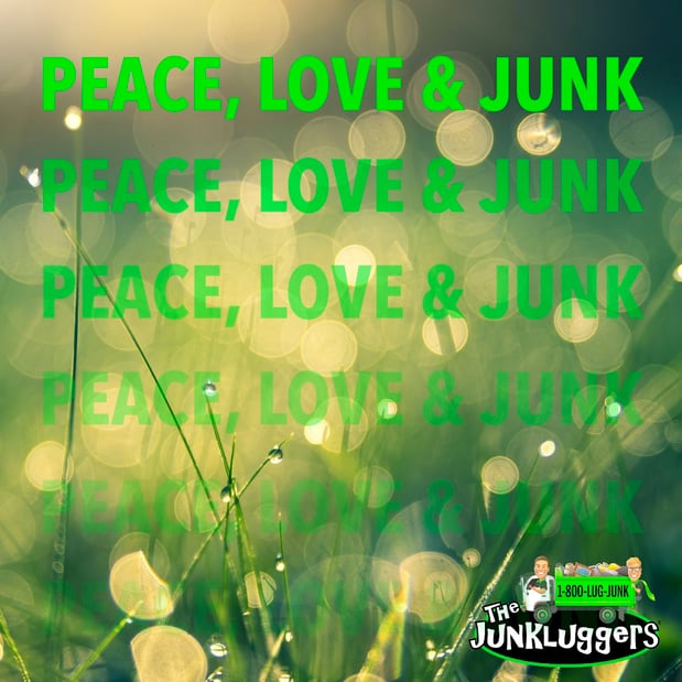 Images The Junkluggers of Cleveland, Mentor & Solon