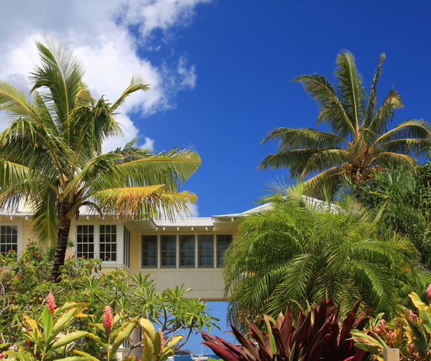 Images Tetyana Hanna, Sarasota Real Estate Agent 〡 KW Coastal Living III