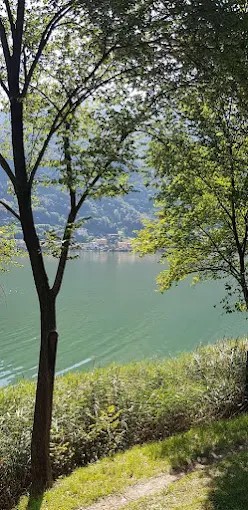 Images Hotel Pineta B&B