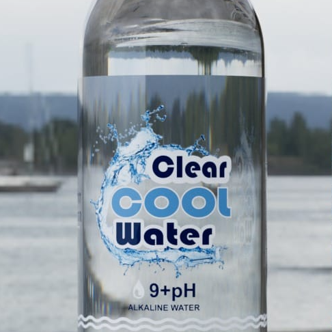company logo