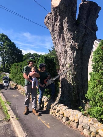 Images Cape & Island Tree Service Inc