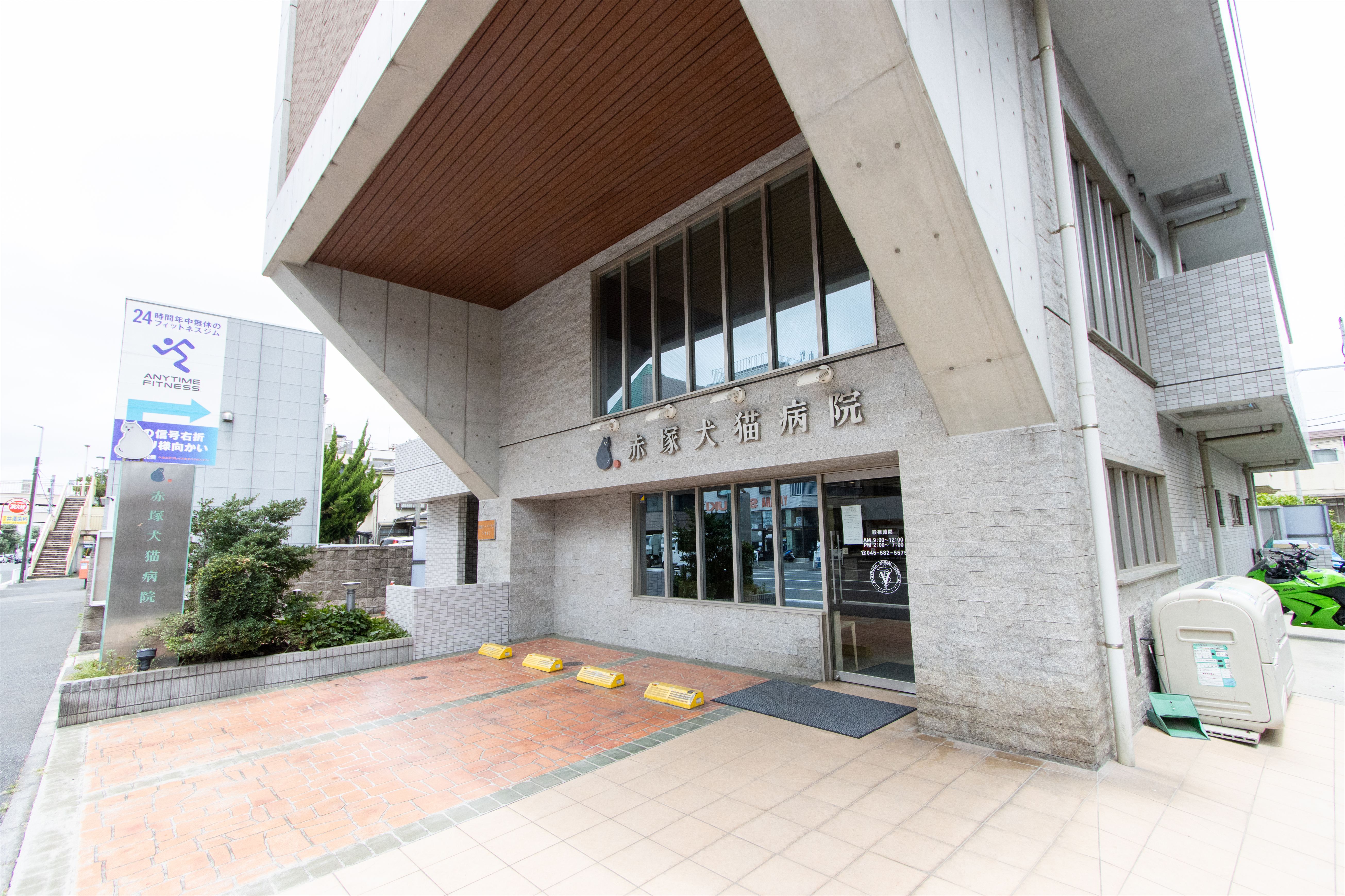 Images 下末吉赤塚犬猫病院