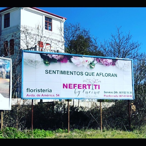 Images Floristeria Nefertiti By Encina