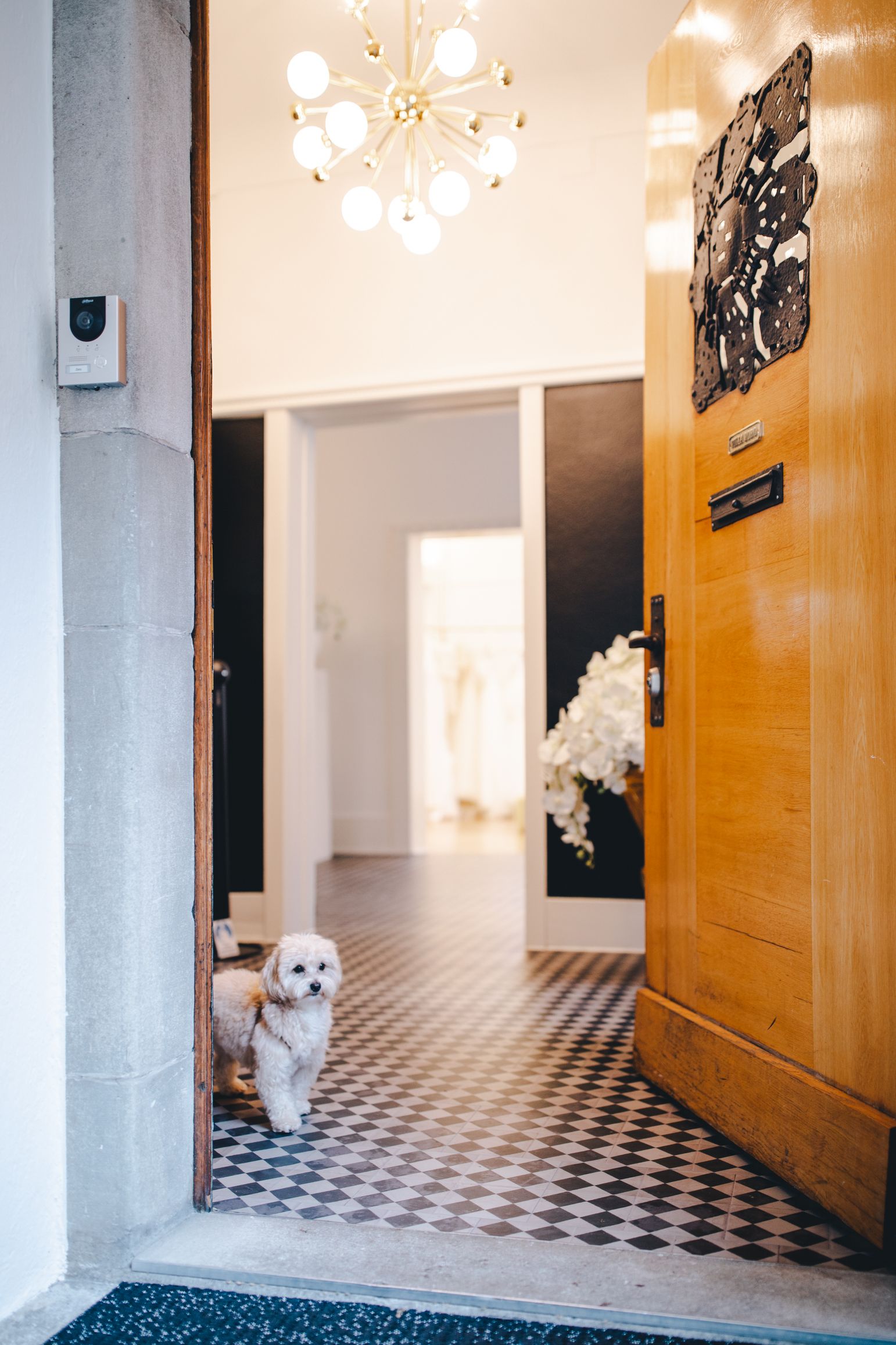 Bilder Boutique Zoro