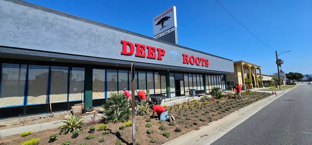 Images Deep Roots Garden Center