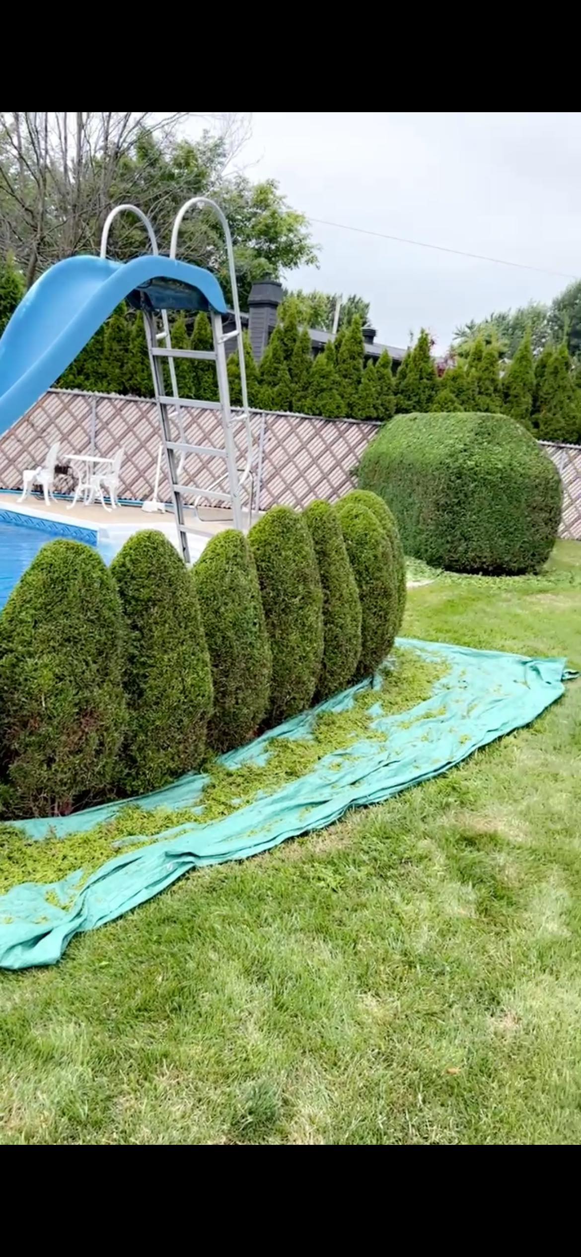 Images Taille de haie EB - Entretien de haie Saint-Hyacinthe
