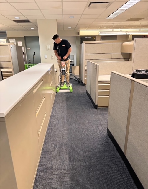 Servpro technician extracting a carpet that was wet.