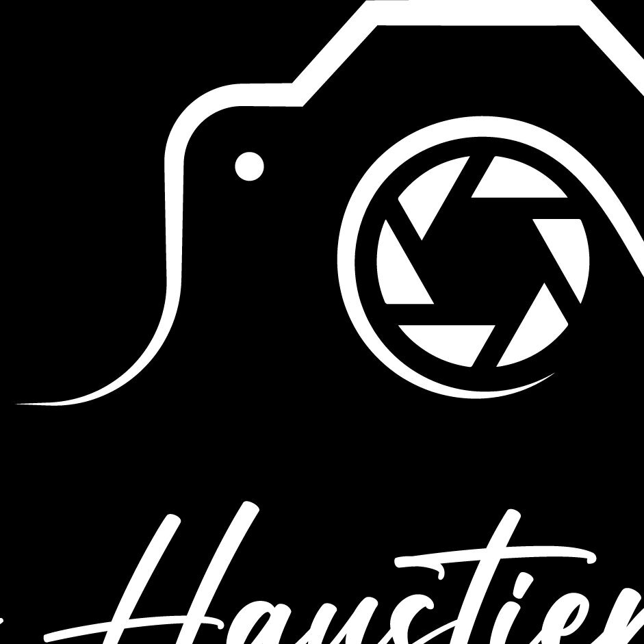 Bilder Der Haustier Fotograf  Hunde- & Tierfotografie aus München