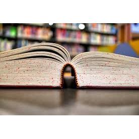 Crabbe Reader Book Store & Yarn Shop