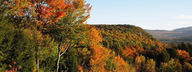 A mountain range covered in stunning autumn foliage.