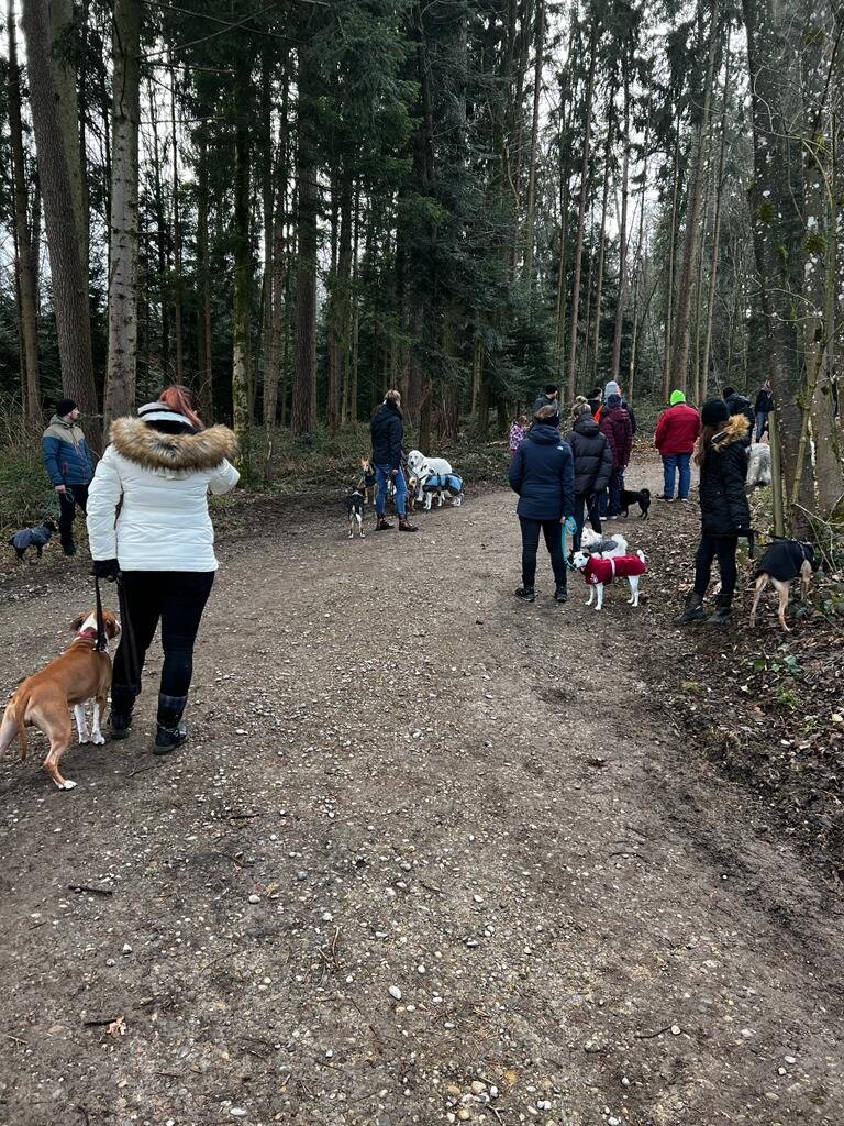 Bilder A-Z-Hundetraining