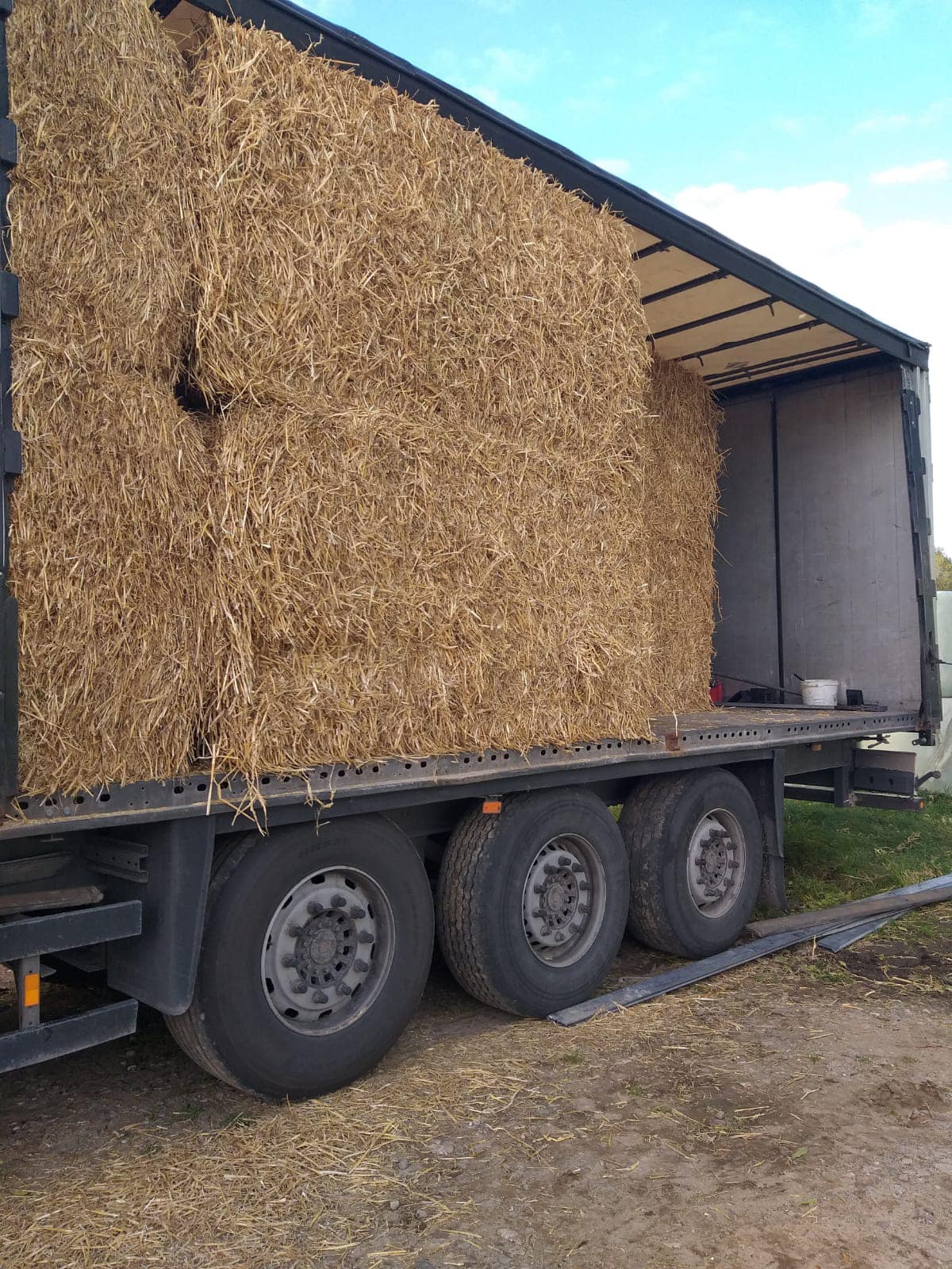 MGM Transport, SIA, starptautiskie kravu pārvadājumi